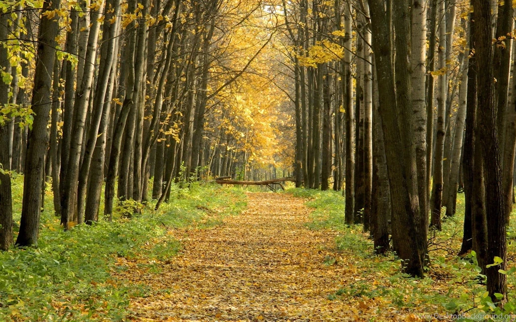 Nature hd wallpapers 1080p widescreen hd wallpapers.jpg