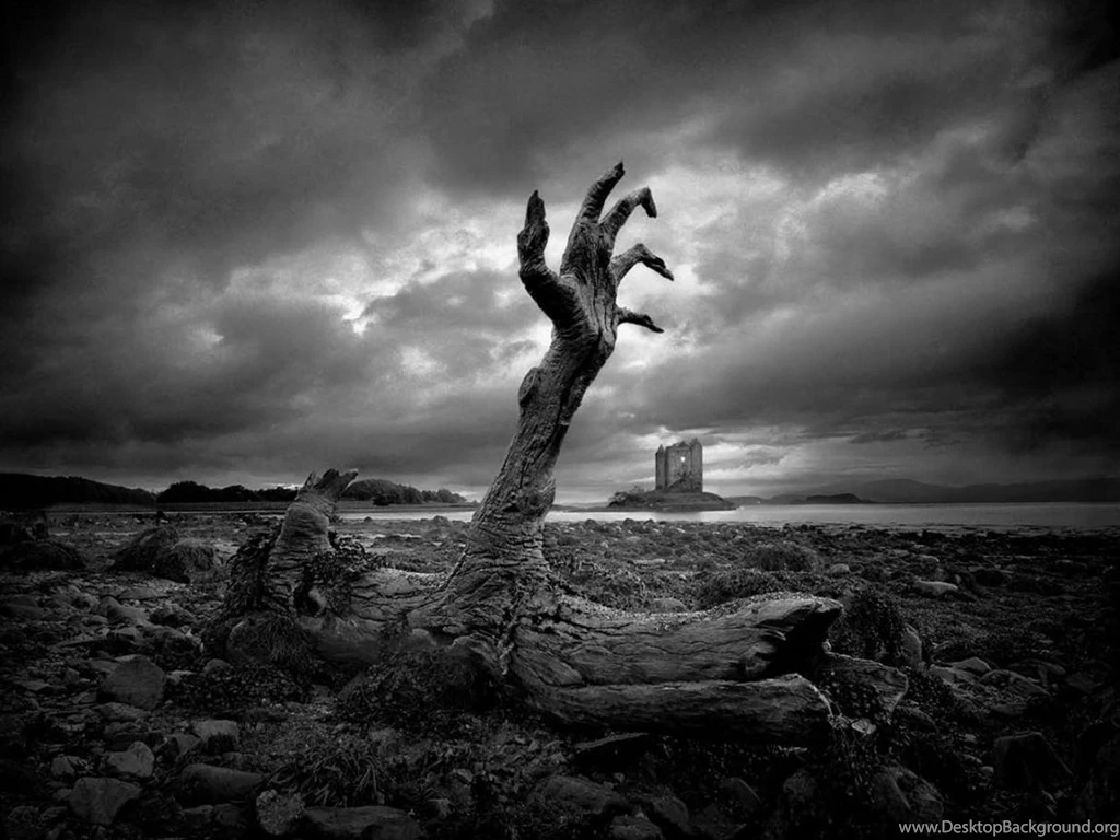Black And White Pictures Of Nature HD Wallpapers And Pictures