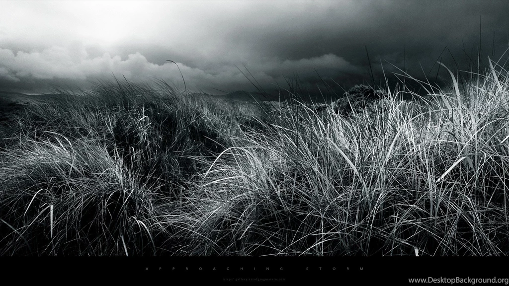 Black And White Nature Wallpapers 1080p
