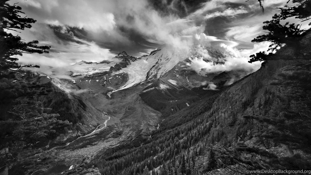 Black And White Nature Wallpapers High Quality Resolution