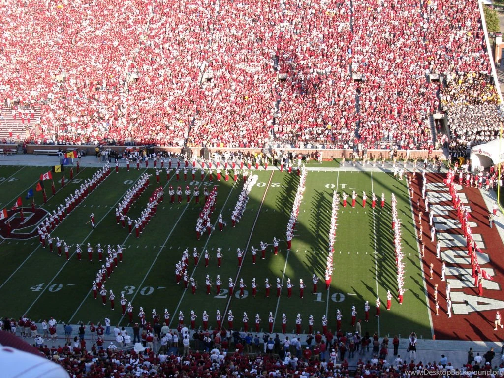 BOOMER SOONER!!! Arti D Bhakta