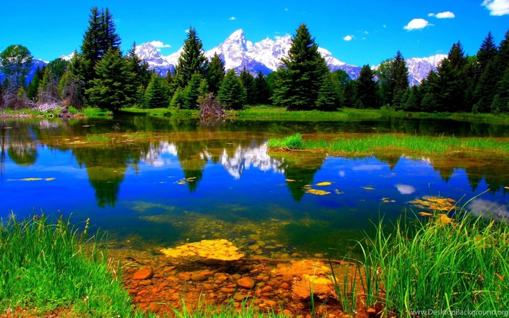 colorful nature wallpapers desktop background colorful nature pictures