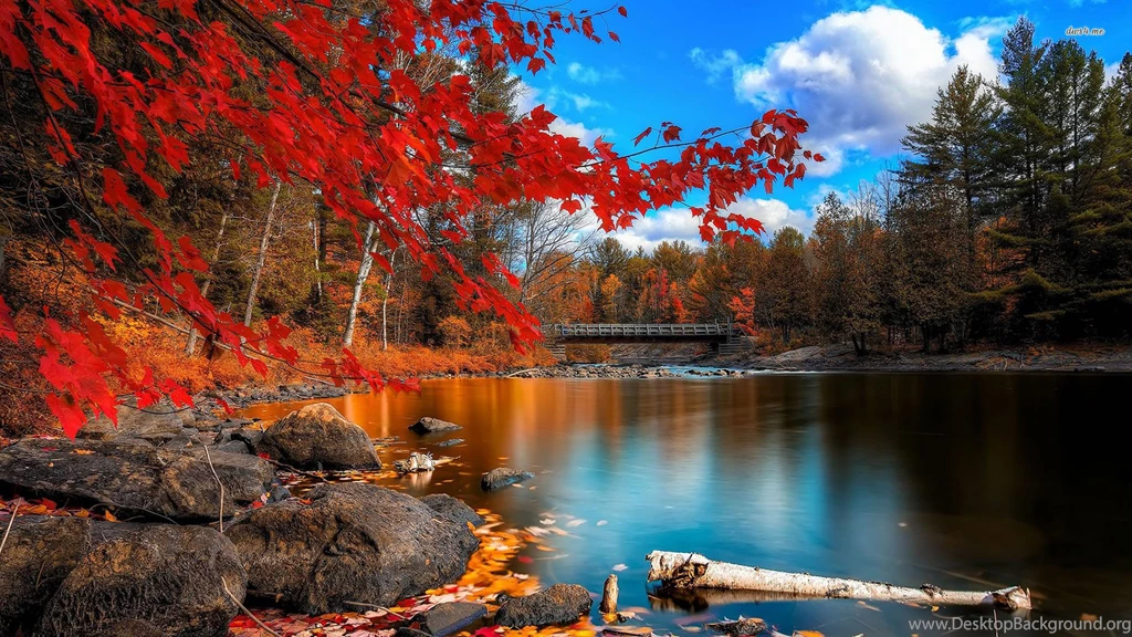 Colorful Nature Wallpapers 1080p For Desktop Uncalke.com