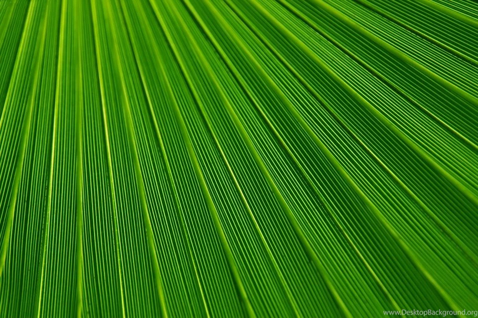 Backgrounds Free Images On Pixabay