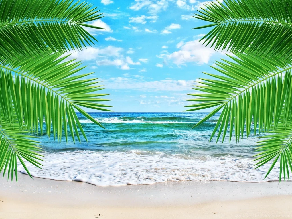 Tropical, Beach, Water, Wide, High, Definition, Wallpaper, For ...