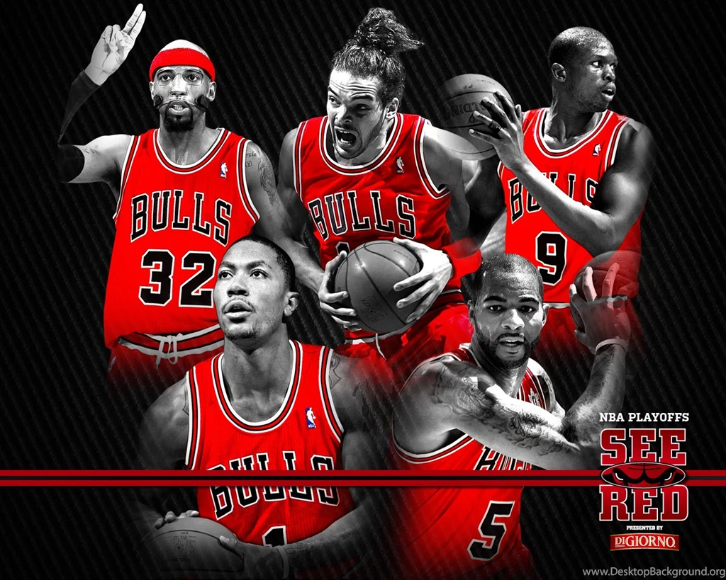 Chicago Bulls Wallpapers WF1056