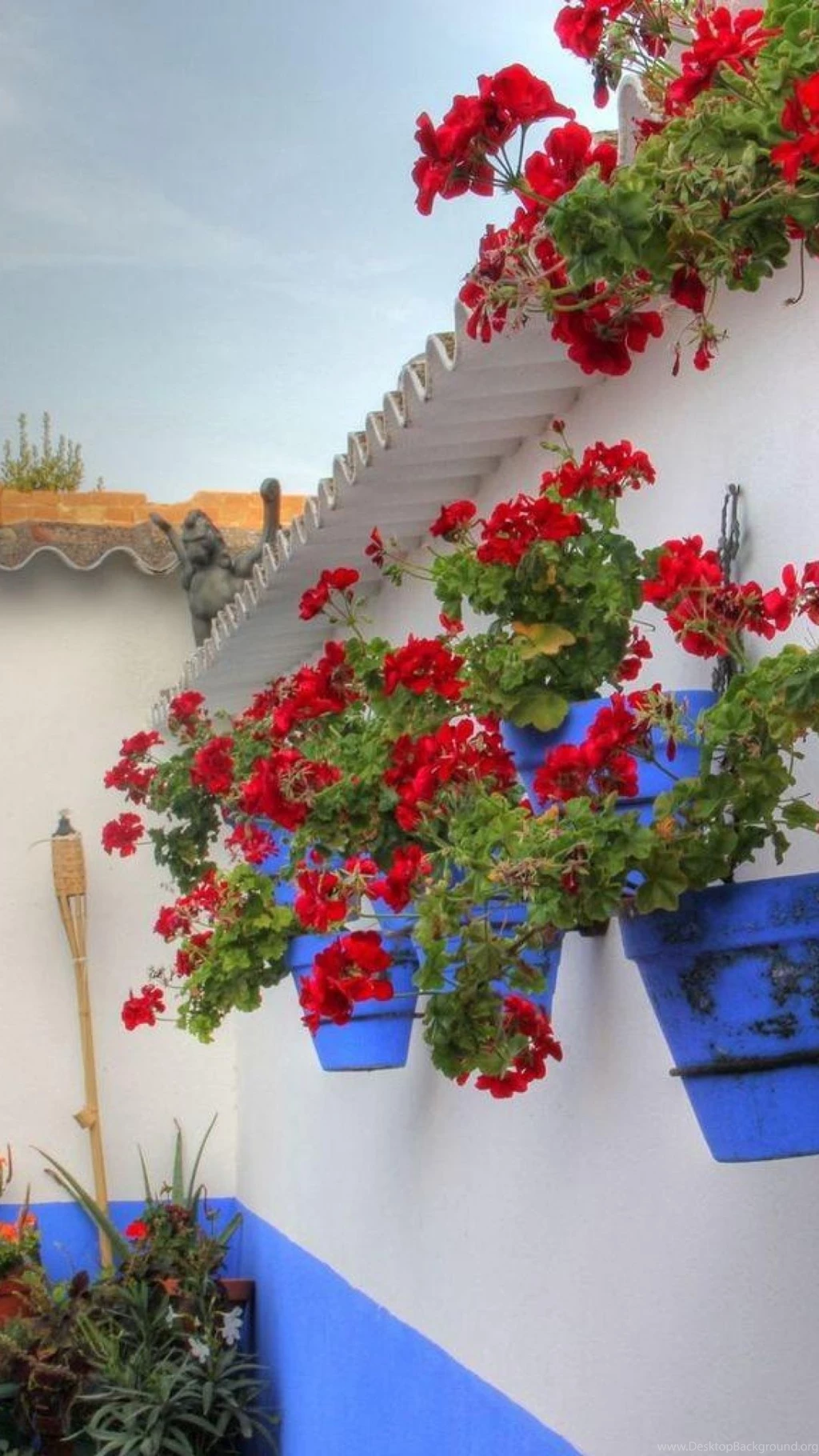 Download Wallpapers 1080x1920 Geranium, Flowers, Pots, Wall Sony ...