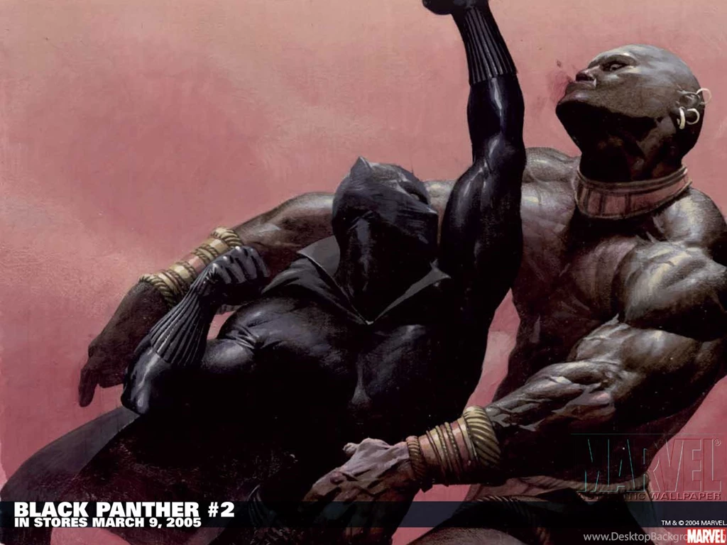 49 Black Panther HD Wallpapers