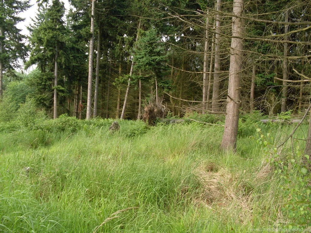 Ghillie Suit Wallpapers Wallpapers Cave