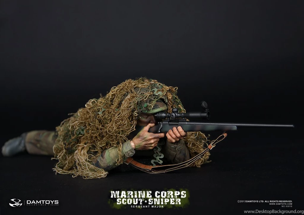 marine corps scout snipers