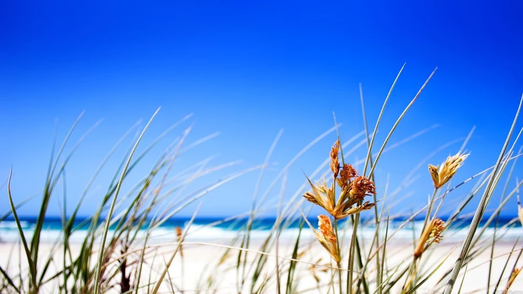 Beautiful Beach Big Blue Sky 1920x1080 HD Wallpapers Sunny Beaches ...