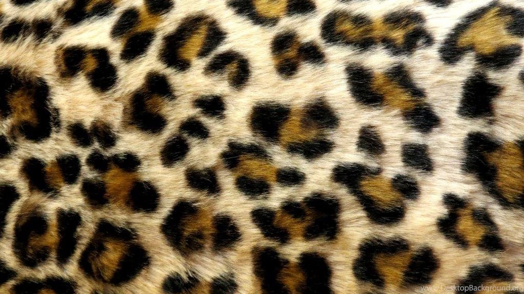 Leopard Print Wallpapers