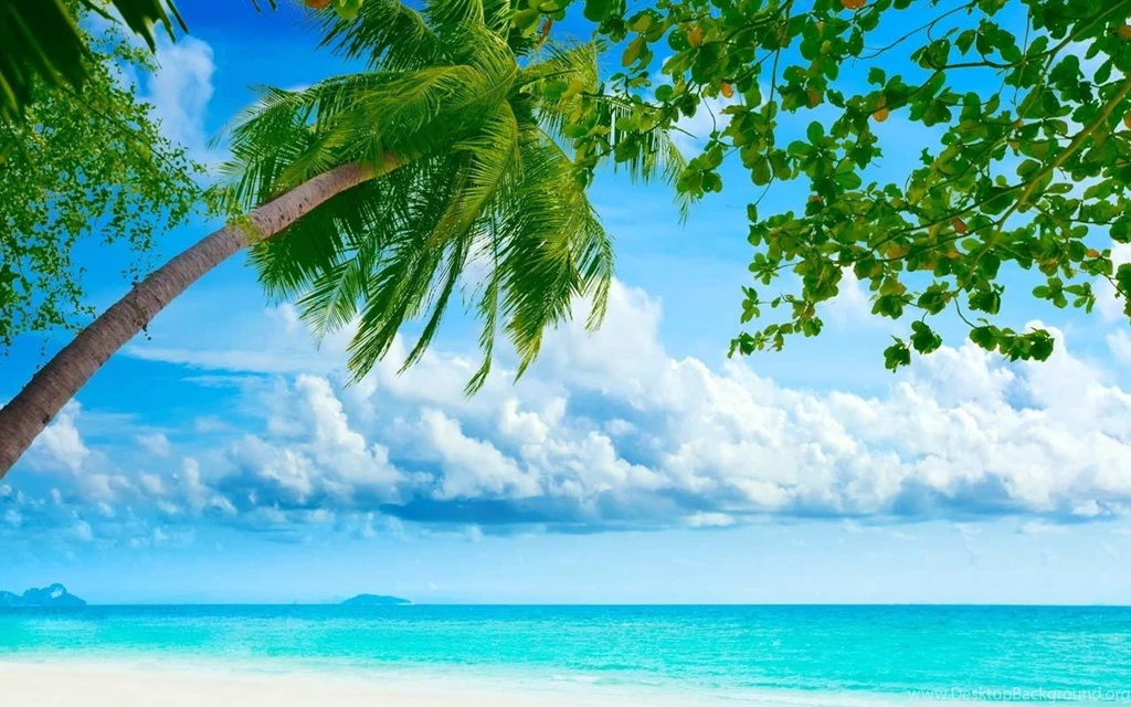 Sandy Beach Wallpapers HD Android Apps On Google Play
