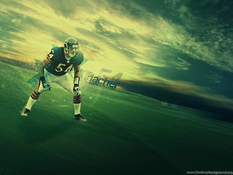 Brian Urlacher Chicago Bears Wallpapers Free Desktop Backgrounds ...