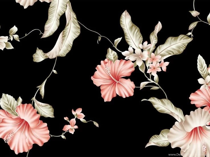 Flowers Wallpapers With Black Backgrounds 30