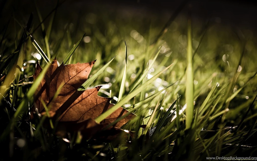 Pic New Posts: Cool Desktop Wallpapers Hd