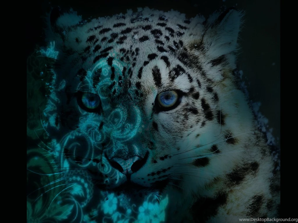 Snow Leopard High Resolution Wallpapers 8260 Amazing Wallpaperz