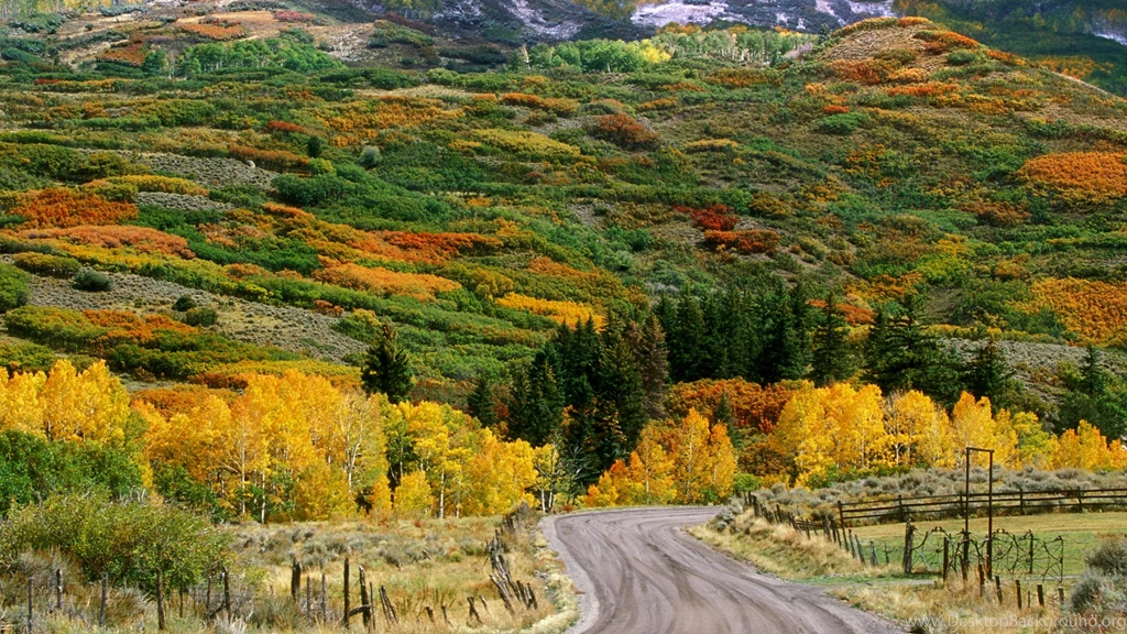 Download Backgrounds Fall Color Along The Cimarron Road, Colorado ...