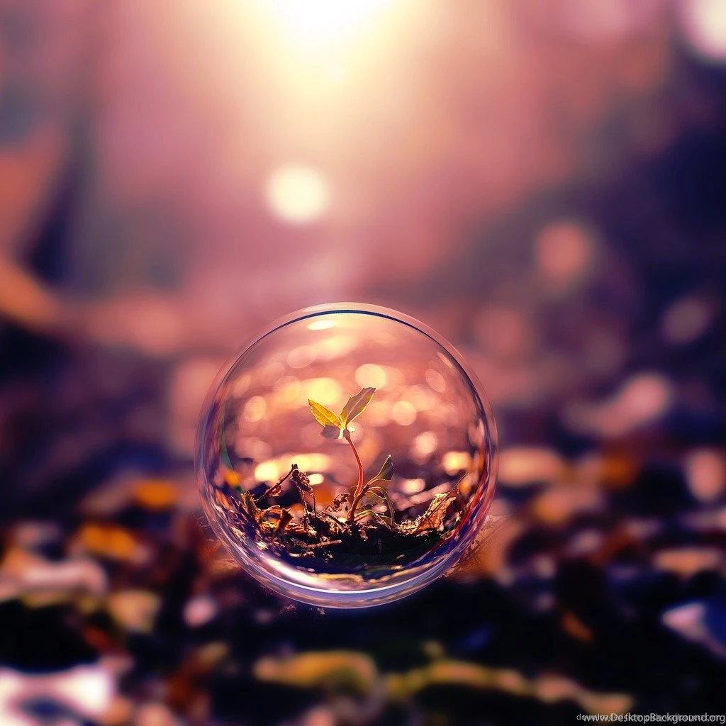Download Little Sprout In A Bubble Wallpapers For IPad