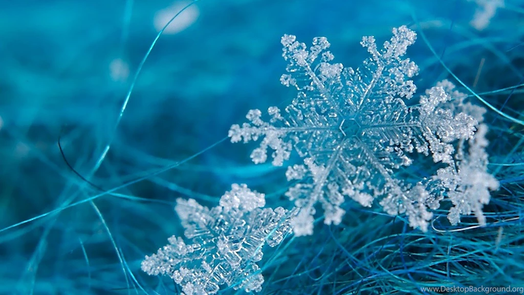 23+ Snowflakes Wallpapers, Snow Backgrounds, Pictures, Images ...