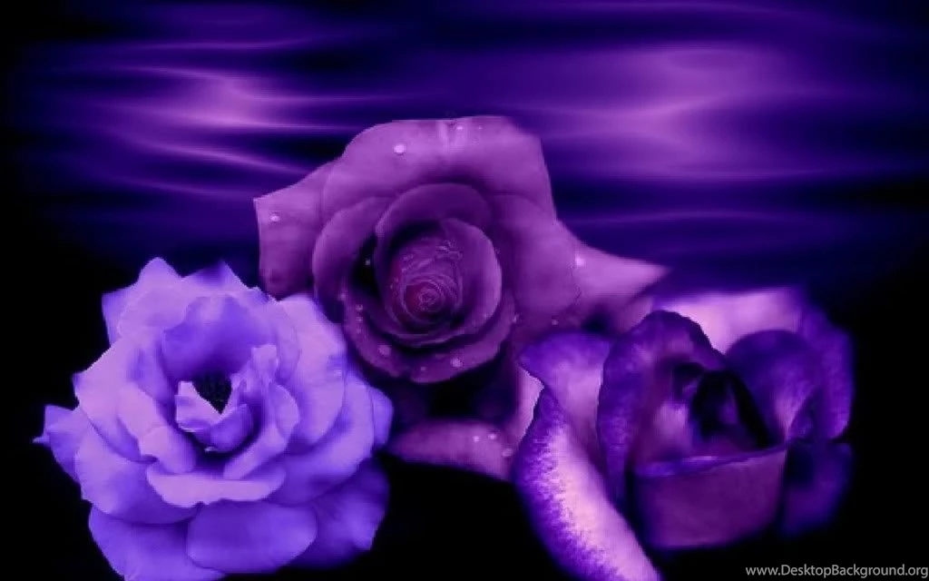 Blue And Purple Flowers Backgrounds