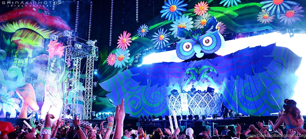 Electric Daisy Carnival Las Vegas 2013