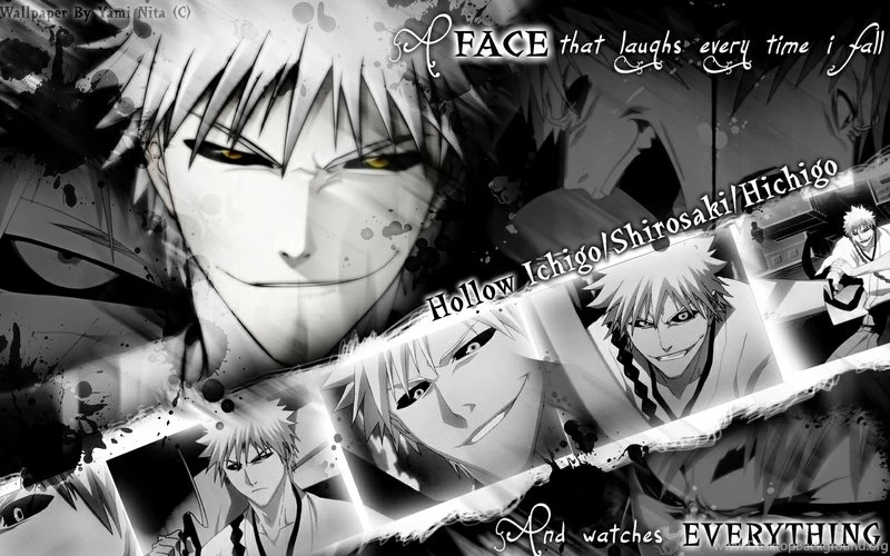 Bleach,Kurosaki Ichigo Bleach Kurosaki Ichigo Hollow Ichigo ...