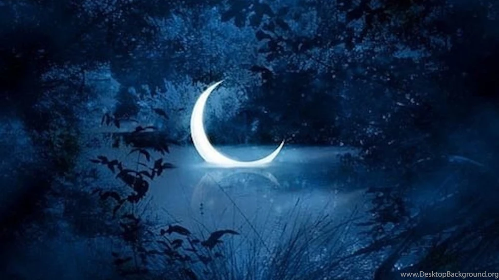 Wallpapers   HD Desktop Wallpapers Free Online: Awesome Wallpapers ...