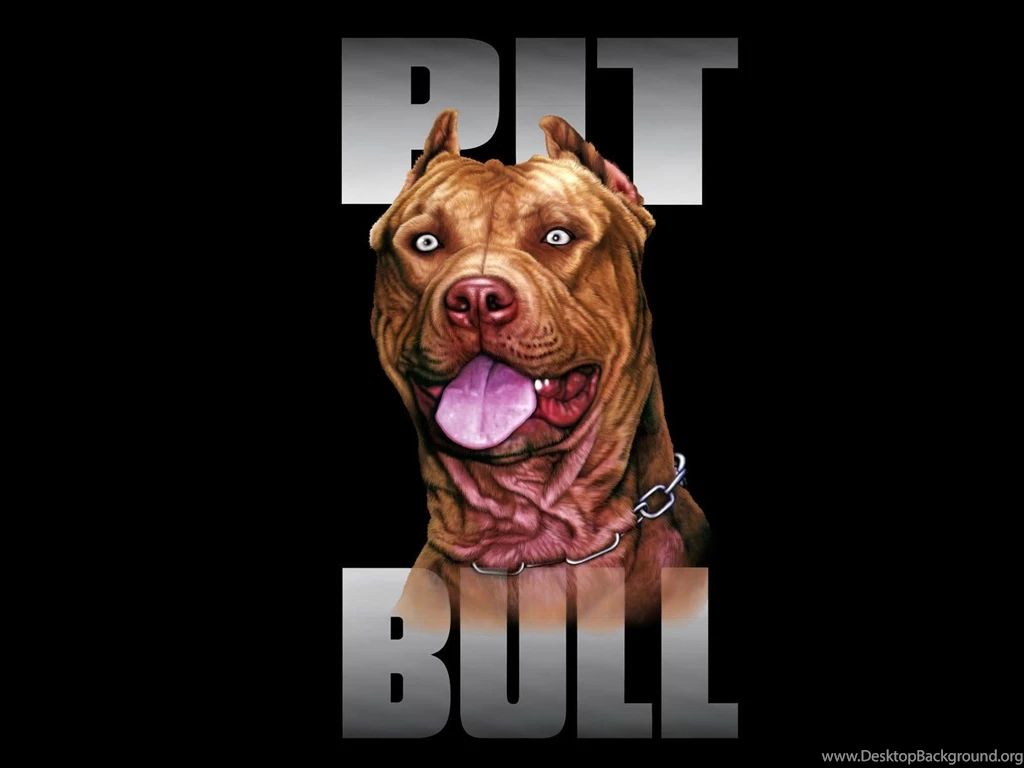 Pitbull Wallpapers