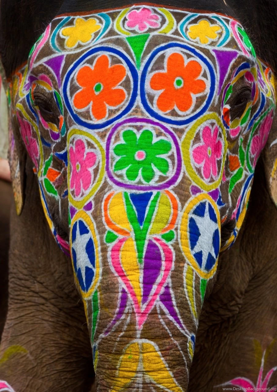 Painted Indian Elephant Wallpapers Image