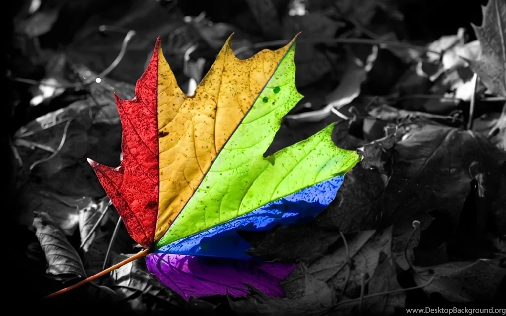Enjoy Beautiful 3d Wallpapers In High Resolution And Hd Here Is ...