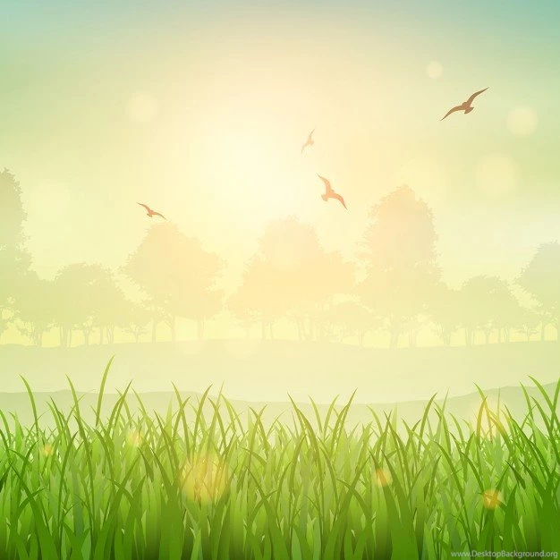 Nature Backgrounds Vectors, Photos And PSD Files