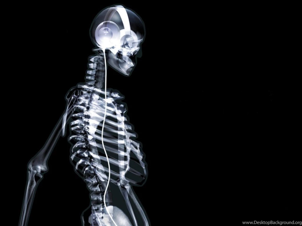 3D Graphics Skeleton 005118