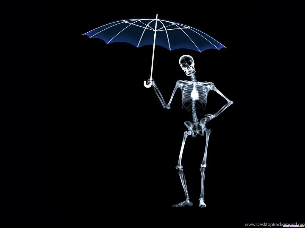 Skeleton Wallpapers Wallpapers Cave