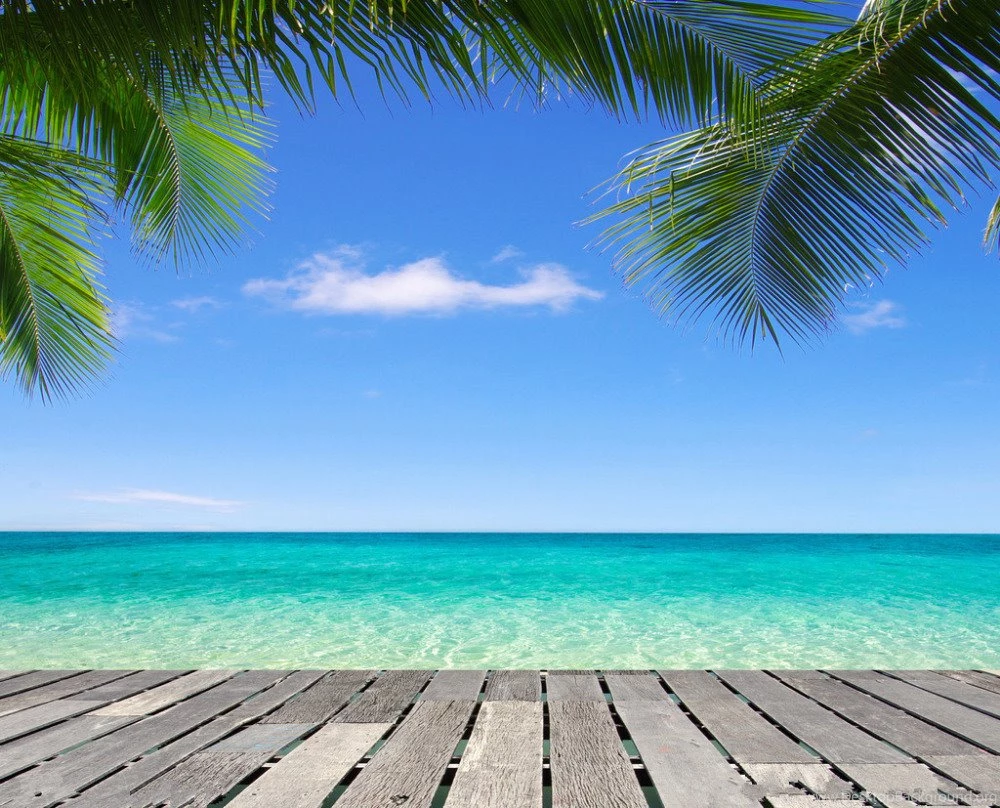 Beach Themed Backdrop Reviews Online Shopping Beach Themed ...