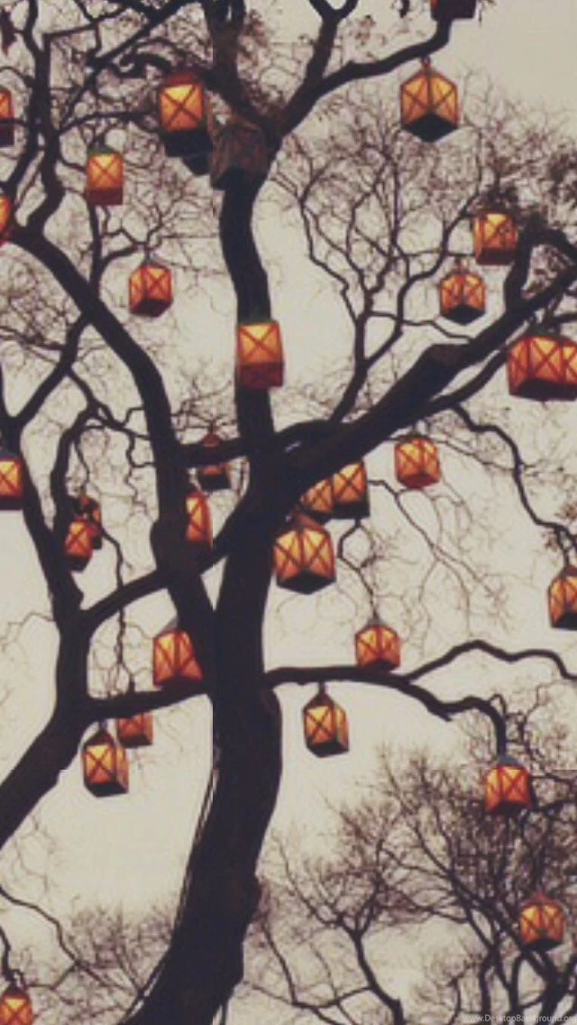Tree Trees Coffee Fall Autumn Cozy Fox Sweaters Leaves Pumpkin ...