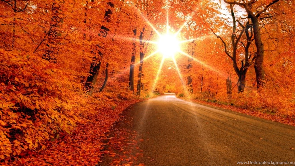 Fall Wallpapers Sunlight Wallpapers