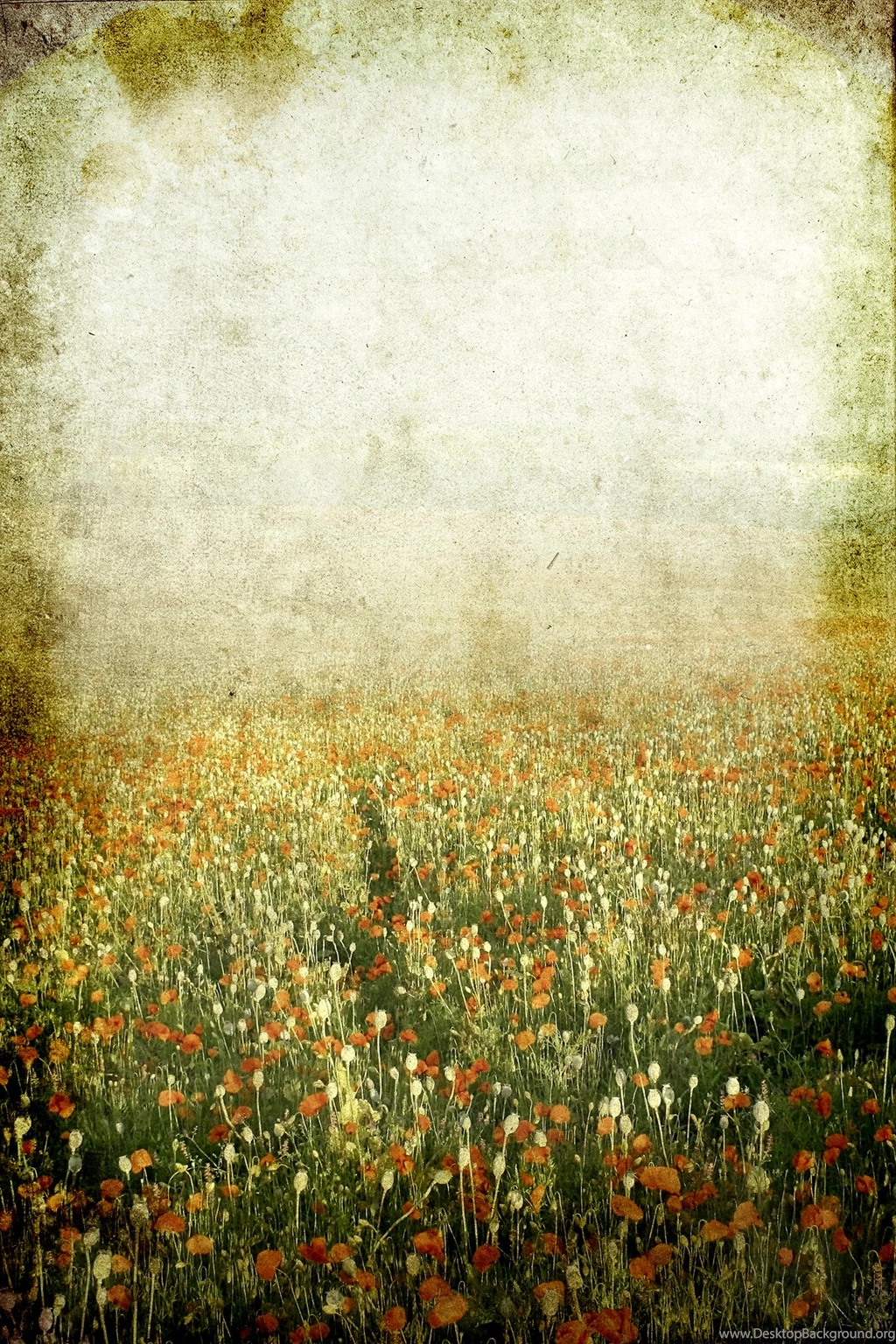 Texture Shit On Pinterest