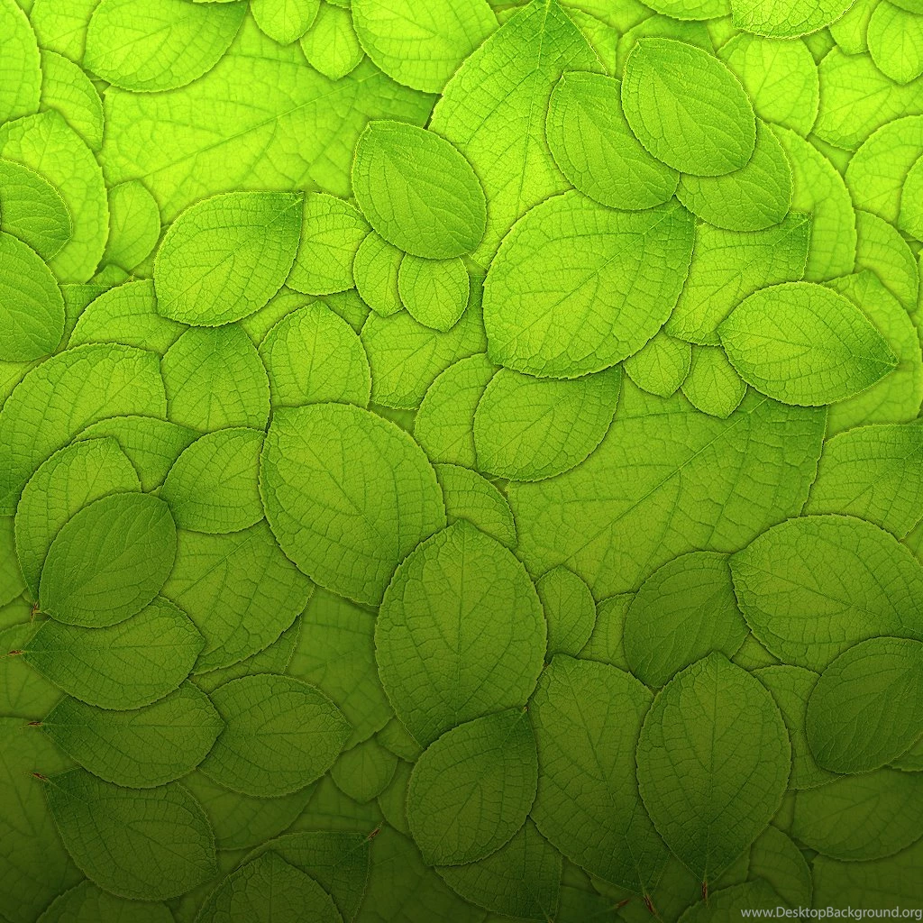 Download Texture: Green Leaves, Download Photo, Green Leaves ...