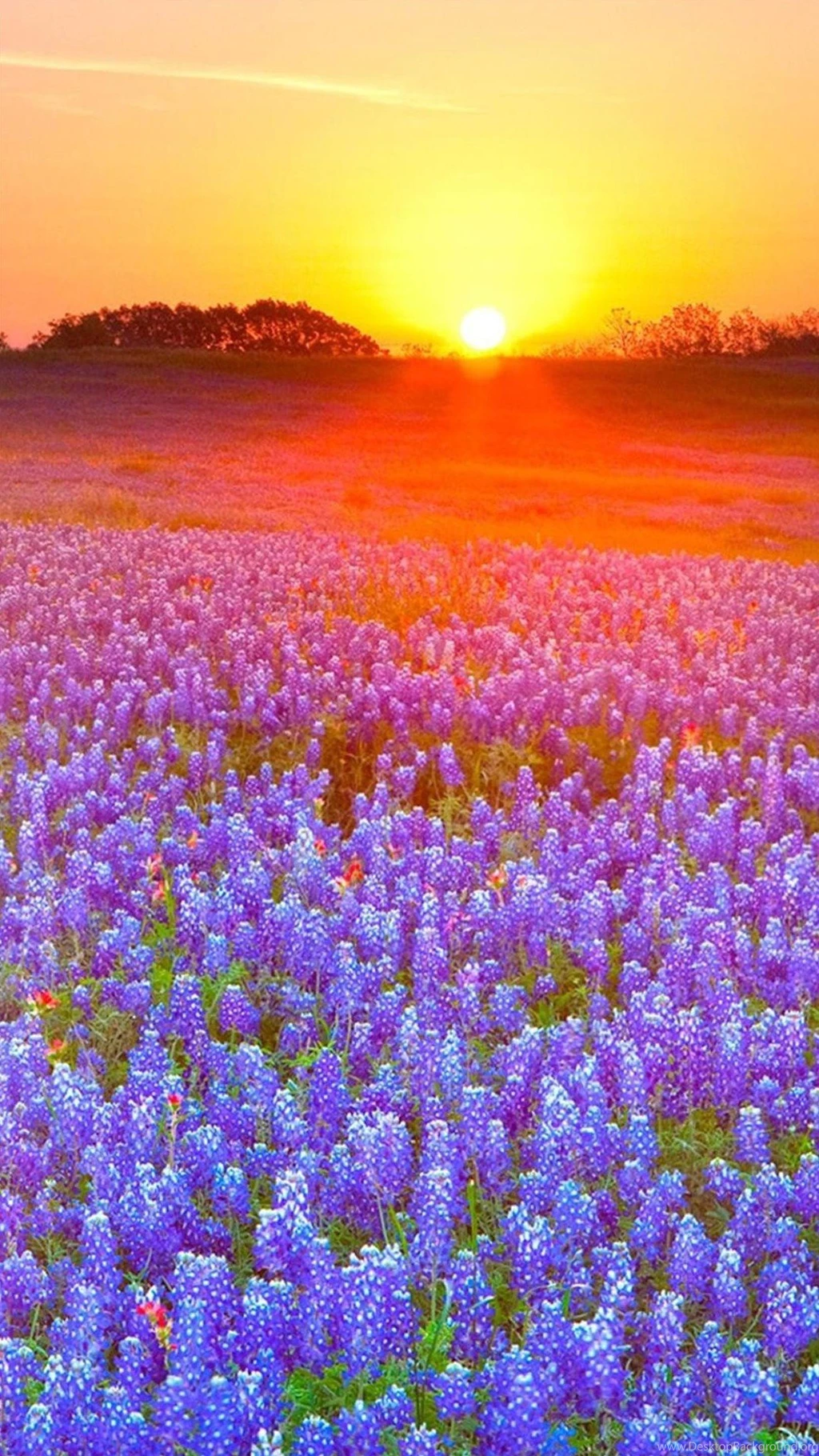 HTC One Max Scenery Wallpapers 88, HTC One Max Wallpapers HD