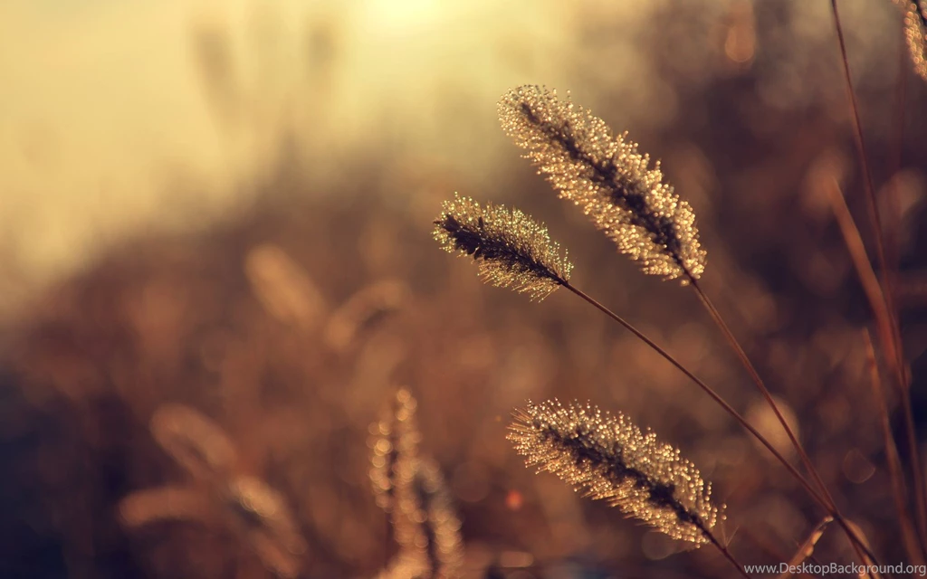 Wallpapers Vintage