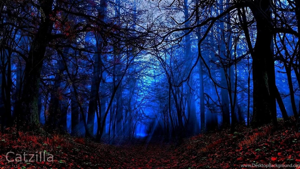 Winter HD Wallpapers (Download Link)   Video Dailymotion