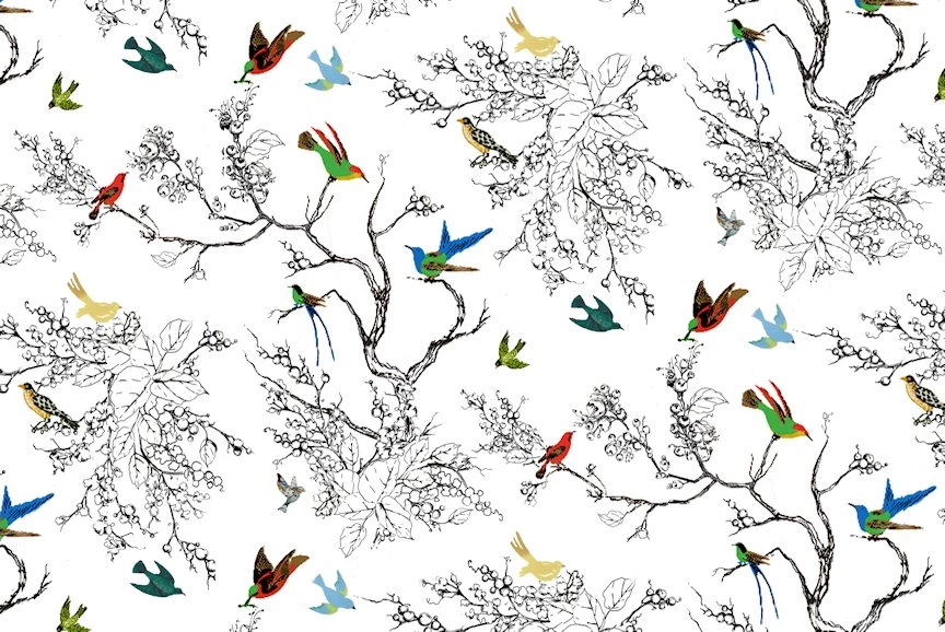 Windows & Wallpapers