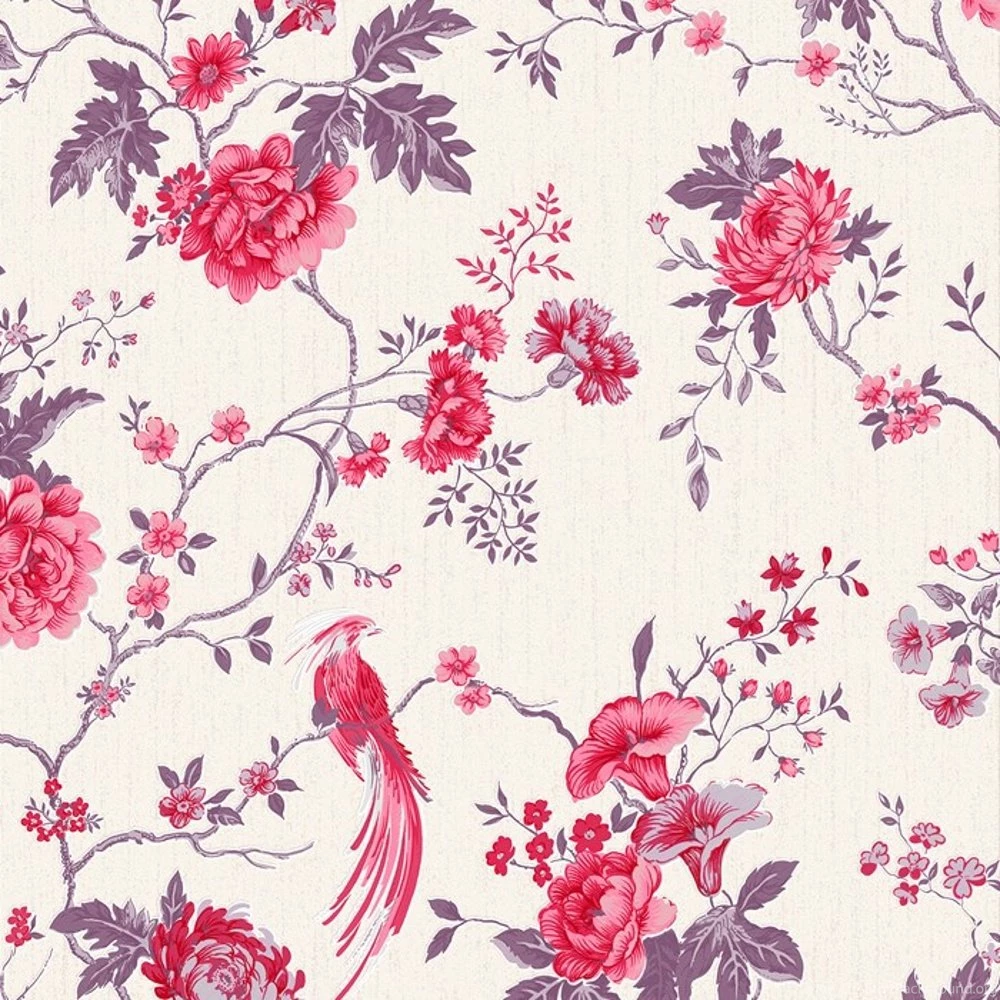 Top Oriental Bird Wallpapers Wallpapers