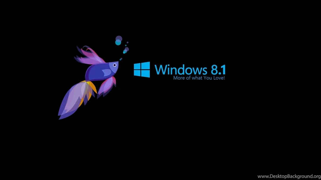 Windows 8.1, 1920x1080 HD Wallpapers And FREE Stock Photo