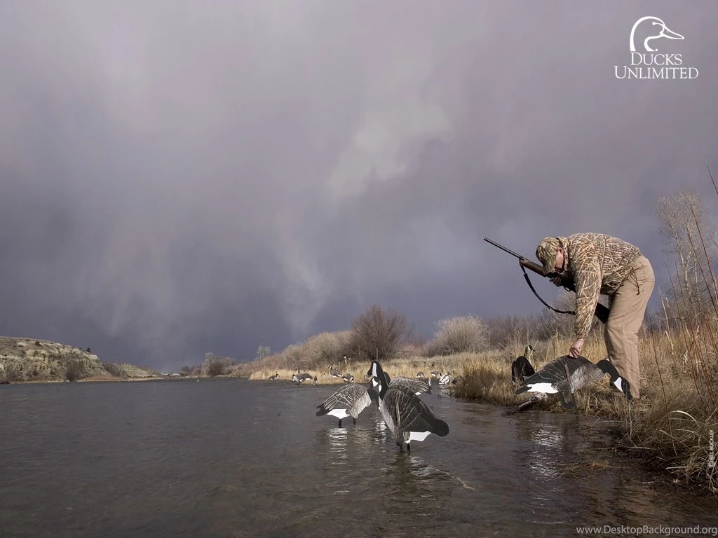 Ducks Unlimited Wallpapers Desktop
