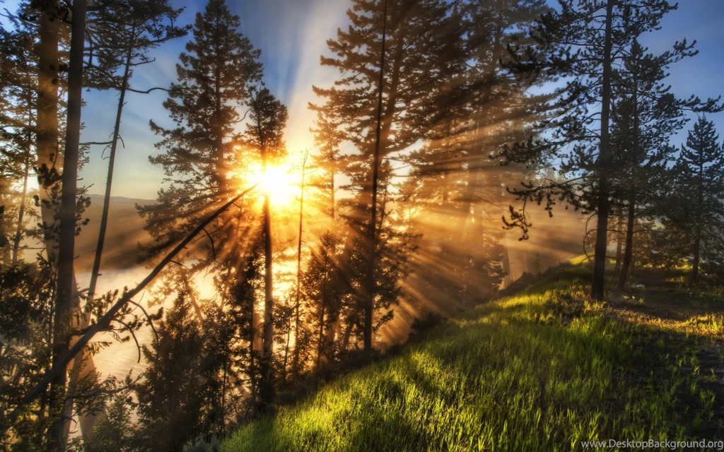 Free High Resolution Image,desktop Wallpapers