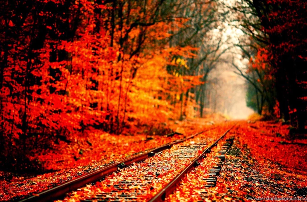 Fall Wallpapers For Computer