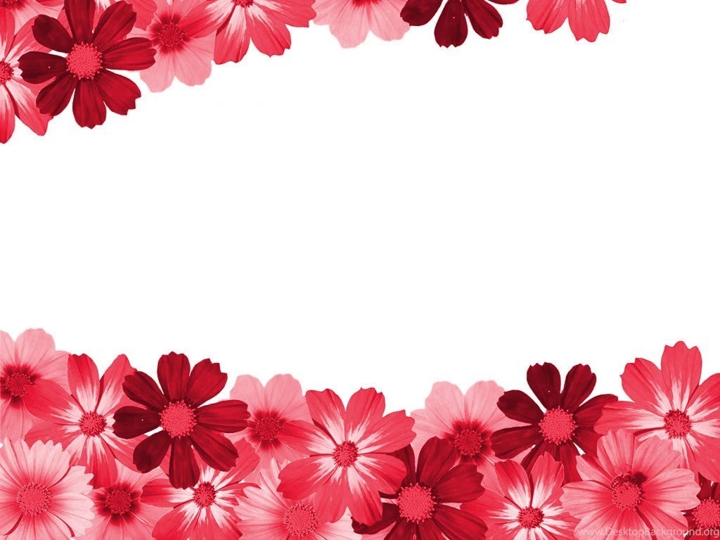 Red Flower Wallpapers Love HD Wallpapers Pretty