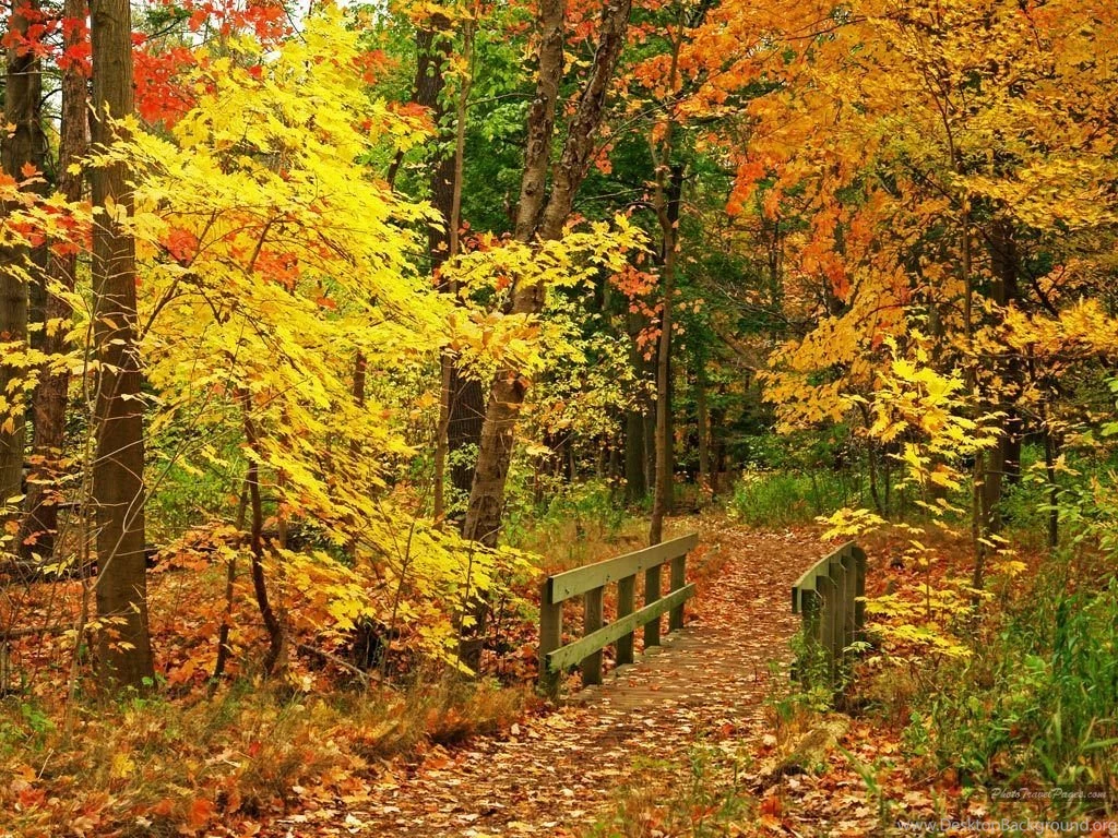 Free Fall Wallpapers For Computers Wallpapers Cave